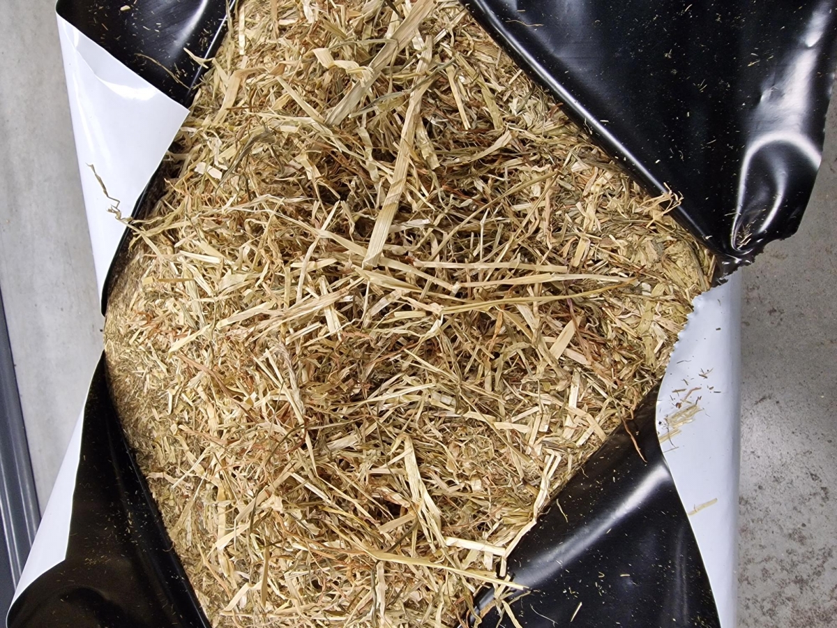 pik Kan niet niet voldoende Voordroog hooi vacuum met lage eiwit - 18 kg - losse pak ( ideaal geschikt  voor paarden, schapen, geiten, ... ) | Webshop Agrodieren