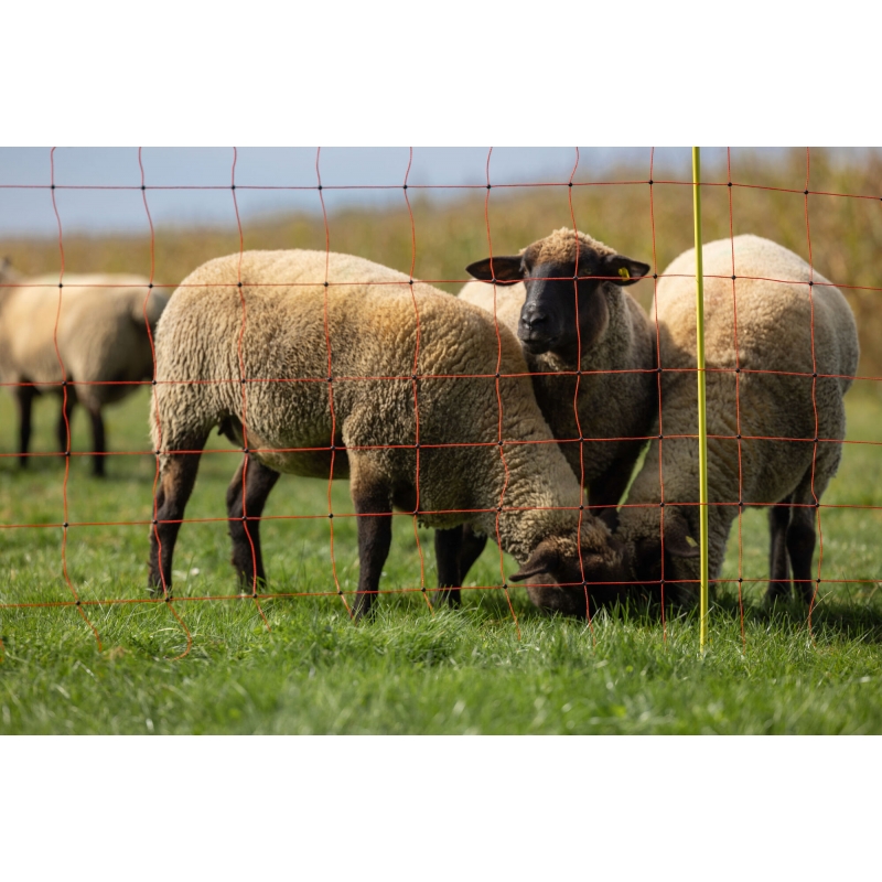 27900 - Filet moutons, 50 m, orange haut. : 90 cm, simple pointe - KERBL - Agrodieren.be - 27900