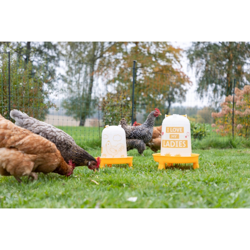 70166 - Kunststof-drinkbak 3 l, met voeten, oranje m. motief - KERBL - Agrodieren.be - 70166