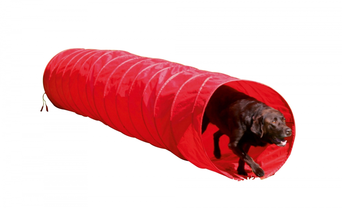 Sobriquette uitvoeren Verlichten Agility hondentunnel rood 5m en 60cm diameter | Webshop Agrodieren